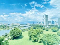 The Riverine By The Park (D12), Apartment #367461131